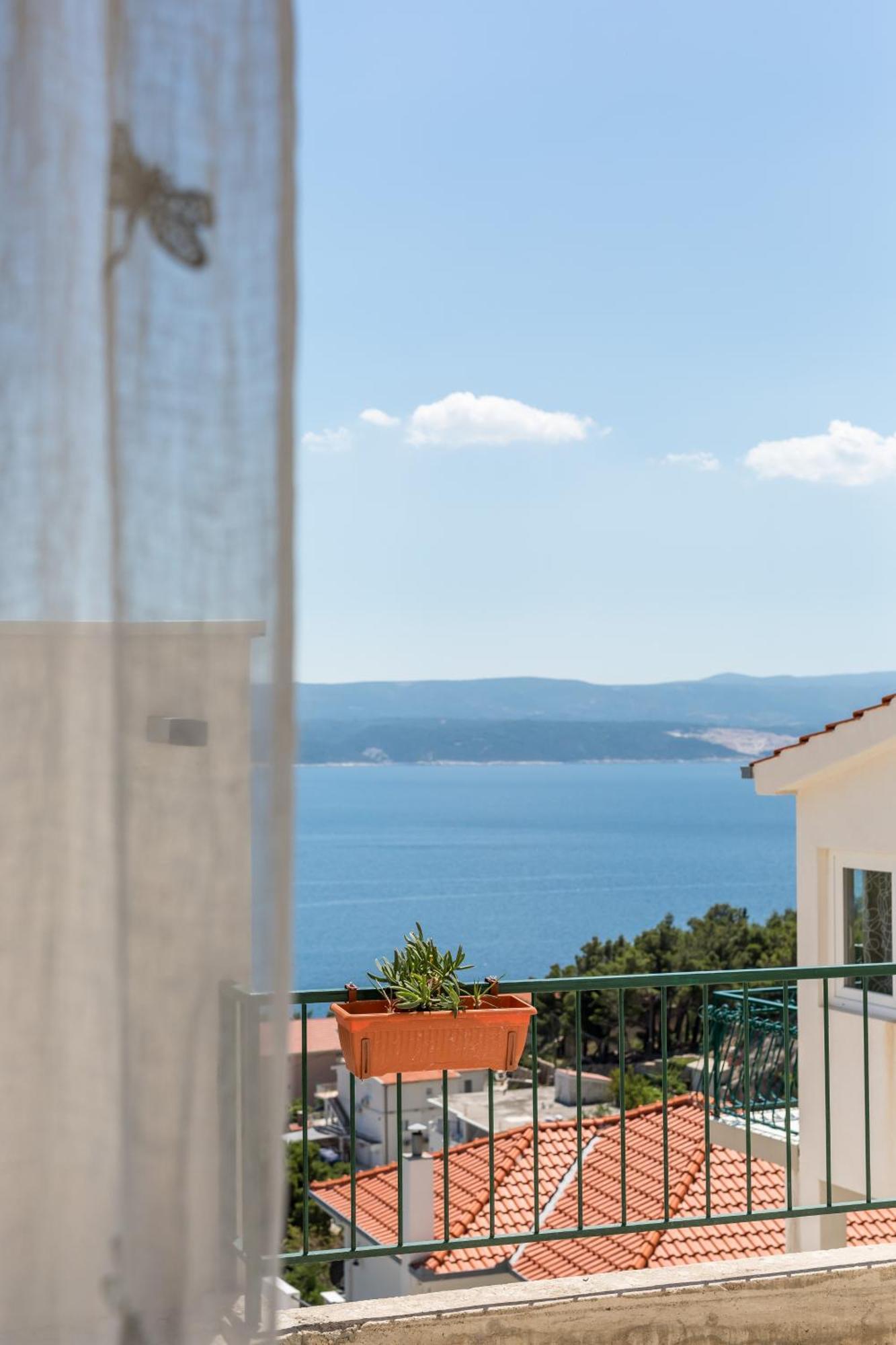 Waterview Apartments - Koru Apartment And Pool Міміце Екстер'єр фото